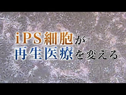 画像 世界からも注目される日本の医療
