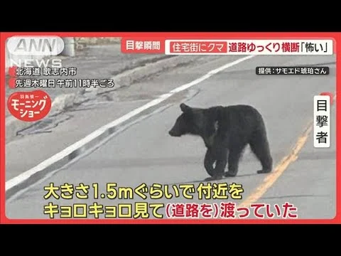 画像 増加するクマ被害