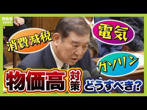 画像 物価高対策に必要なものとは