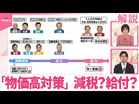 画像 物価高対策