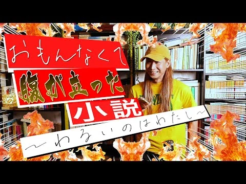 画像 面白くなかった小説
