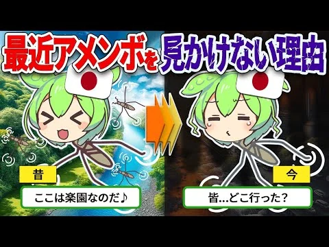 画像 アメンボ絶滅の危機