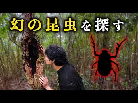 画像 ヤンバルテナガコガネを探す