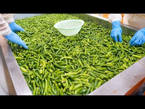 画像 柚子胡椒の作り方!大量に製造している宮崎・銀鏡「かぐらの里」の全貌