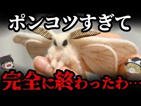 画像 家畜化された昆虫 カイコ