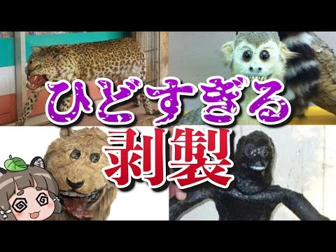 画像 最悪のクオリティで出来たヒドすぎる剥製