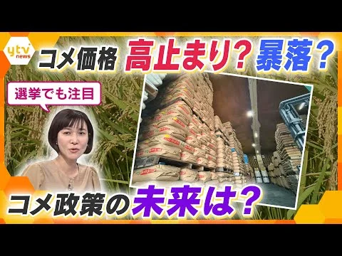 画像 衆院選争点「コメ政策」価格どうなる？　安定的消費・持続可能な生産に必要な政策とは…