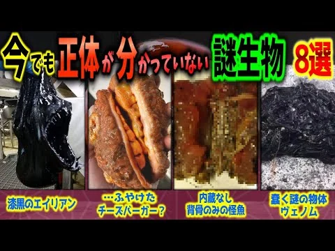 画像 【閲覧注意】正体不明!! 謎すぎて新種かどうかすら分かっていないヤバい生物 8選【ゆっくり解説】【新種/UMA/エイリアン/ヴェノム】