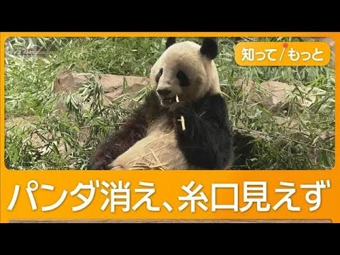 画像 上野の双子パンダが中国到着　日本への渡航自粛要請で見えぬ日中の関係改善