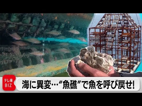 画像 水産業の危機…特許取得の“人工魚礁”で消えた魚を呼び戻せるか！？