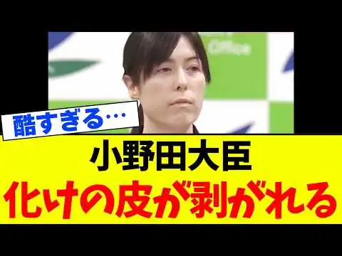 画像 【別人？】小野田紀美大臣、変わり果てた姿に批判が殺到してしまう…