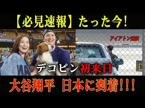 画像 大谷翔平がチャーター機で日本到着、真美子夫人と娘も同行、デコピン初来日で侍ジャパン合流へ!