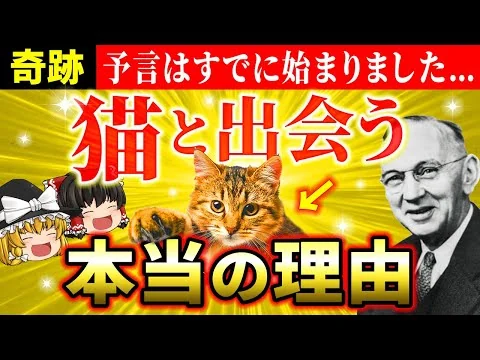 画像 【🐱巨億を招く】エドガー・ケイシーが予言した「猫と出会う理由」と「猫を飼っている人に起こること」【ゆっくり解説】【スピリチュアル】