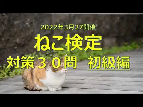 画像 【ねこ検定】対策オリジナル問題３０問【6分程度】