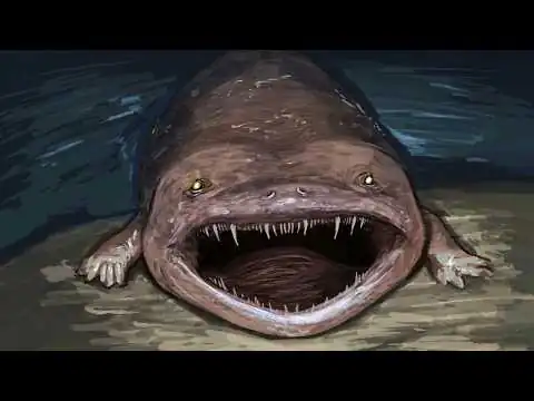 画像 【地球史最大の“地獄”】ペルム紀大絶滅の直後、世界はこうなっていた…【気温60℃ 酸素12%】