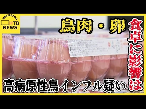 画像 鳥肉・卵 食卓に影響は　高病原性鳥インフルエンザ感染でニワトリ約19万羽の殺処分開始　道内食肉用の約3％
