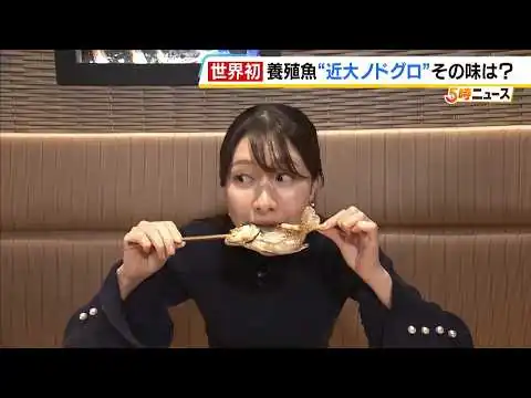 画像 【近大ノドグロ】２６日からレストランで提供　店長「脂がギュッと小さい体の中に詰まっている」　去年「世界初」の完全養殖に成功