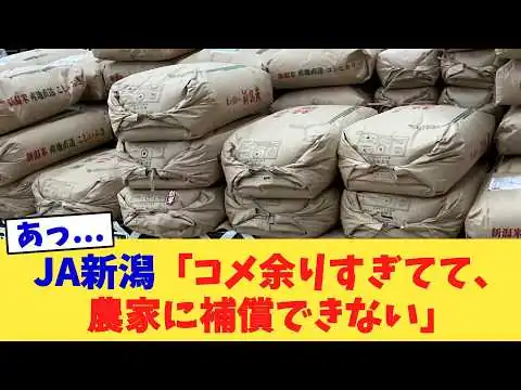 画像 JA新潟「コメ余りすぎてて、農家に補償できない」