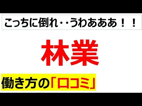 画像 林業の働き方の口コミを20件紹介します