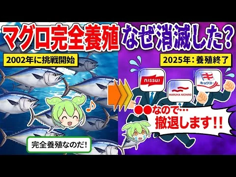 画像 マグロの完全養殖がほぼ消滅した驚きの理由とは？