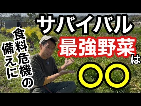 画像 【物価高騰•食料危機に備える】お勧め野菜とその理由/併せて備蓄すると良いものについて
