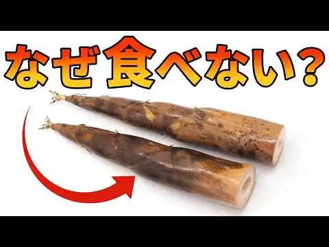 画像 欧米で爆増する竹(タケノコ)が食べられていない理由【生物解説】