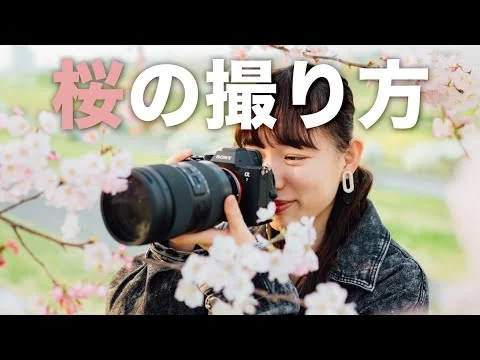 画像 【写真教室】桜の撮り方、全部見せます｜TAMRON 35-150mmで撮る極上の春景色のコツ