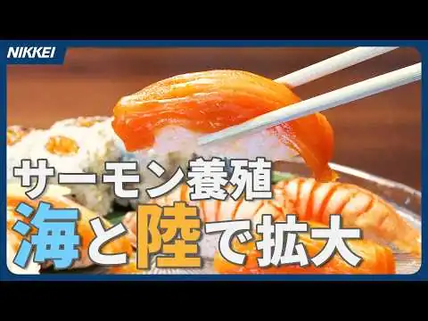 画像 【日本のサーモン養殖】海と陸で拡大中　5月、世界最大級の陸上施設稼働へ