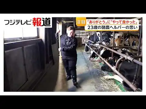 画像 牛乳飲めなくなる…酪農家の「たまの休み」支える“酪農ヘルパー”不足に危機感　日中は比較的自由で魅力感じる人も