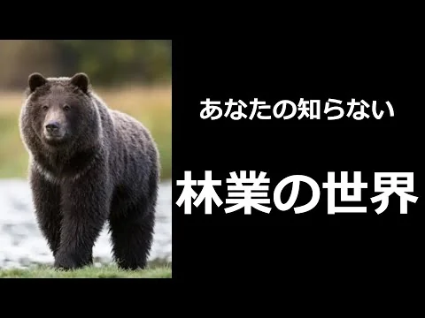 画像 【クマが出没する本当の理由】あなたの知らない林業の世界