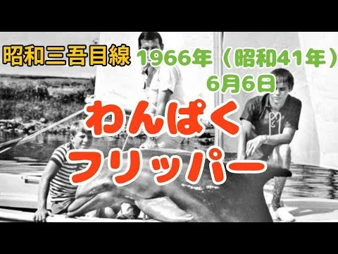 画像 【6月6日】「わんぱくフリッパー」1966年 三吾目線