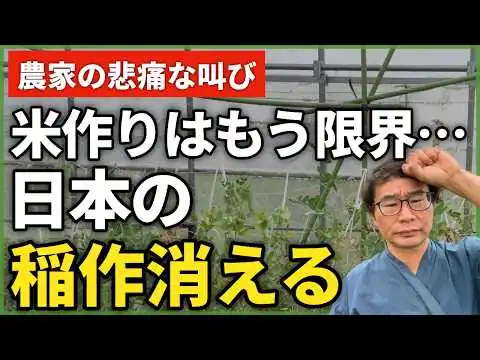 画像 米が値下がり。日本の稲作が消える