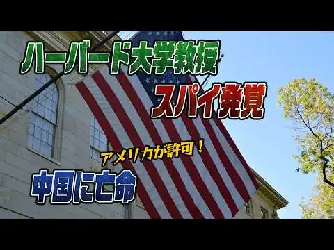 画像 #991米国人SPYの末路