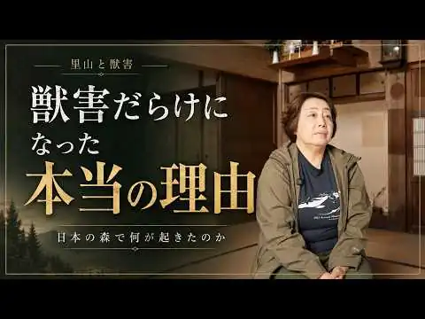 画像 クマやイノシシ被害はなぜ増えた？日本の獣害が止まらない本当の理由｜山本麻希