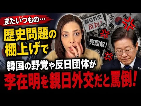 画像 【またいつもの…】日韓首脳会談で…歴史問題の棚上げに韓国の野党や反日団体がブチギレ！