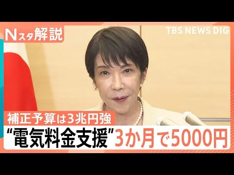 画像 電気・ガス代「3か月で5000円」支援へ　 ガソリン補助や“ナフサ目詰まり”に政府の次の一手は
