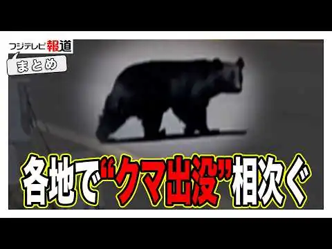 画像 全国で“クマ出没”急増…住宅街・観光地で相次ぐ目撃情報