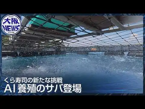 画像 【AIで育てるサバ】くら寿司の新戦略は国内養殖！現場に無人でも魚が育つ？