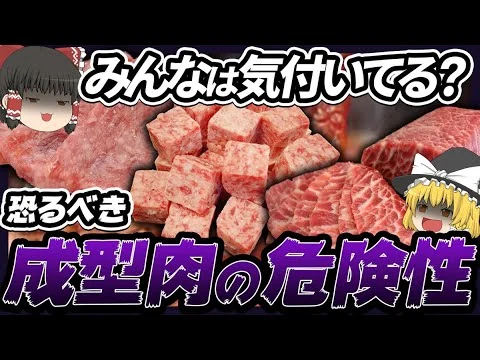 画像 【ゆっくり解説】激安ステーキ店に潜む恐怖...成型肉の知られざる危険性と見抜き方について