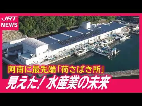 画像 【驚き】最先端が満載！　阿南・椿泊漁港の「荷さばき所」