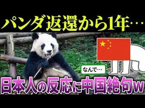 画像 中国「二度とパンダは貸さない！」→結果、日本人大歓喜w【海外の反応＆ゆっくり解説】
