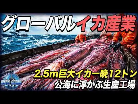 画像 ペルー沖の「世界最大イカ漁場」が一夜90万ドル産業になるまでを解説。深海イカ→即座加工→冷凍輸出がヤバい