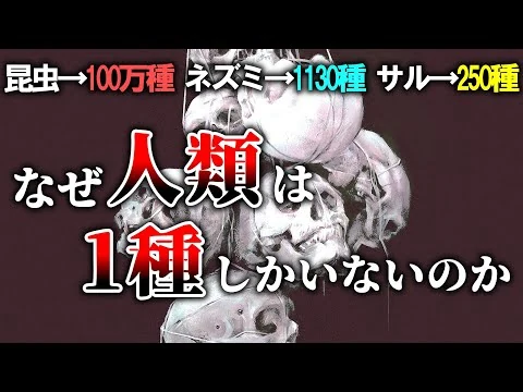画像 【普通は複数種いる】ヒト科ヒト属の生物が1種しかいない理由【ゆっくり解説】【雑学】