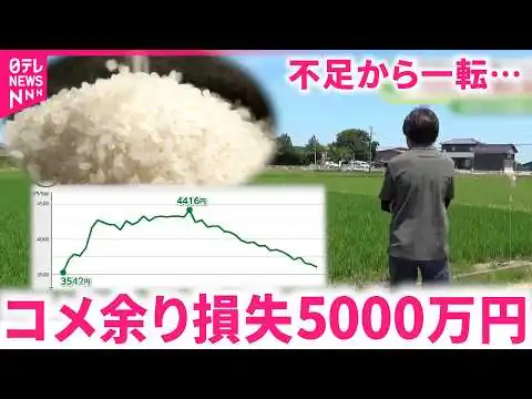 画像 【コメ】｢ジェットコースターみたい…｣"米余り"で暴落に危機感 農家•集荷業者の不安