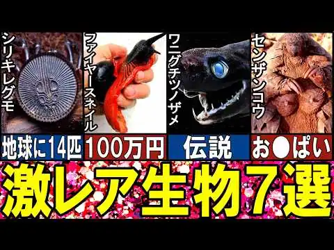 画像 【閲覧注意】あまりに激レアな生き物７選【ゆっくり解説】【動物おもしろ雑学】