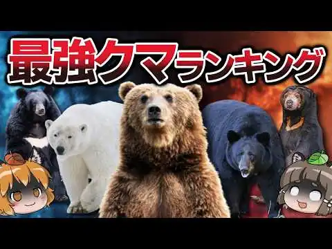画像 【地上最強】地球で最も強いクマは誰だ！？最強ランキングTOP10