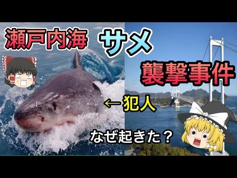 画像 瀬戸内海サメ襲撃事件　ゆっくり解説