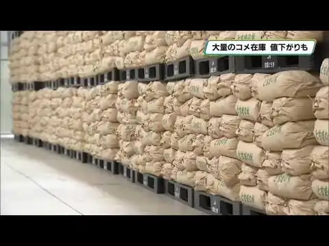 画像 「令和の米騒動」から一転　大量のコメ在庫で倉庫ひっ迫　値下がりも不安定な情勢続く　栃木県