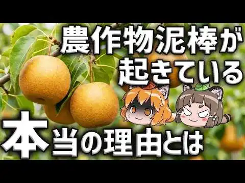 画像 【闇バイト？】農作物の盗難被害が起きている本当の理由とは…