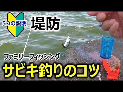 画像 【サビキ釣り_初心者向け】釣りのコツ 〜5つの説明〜